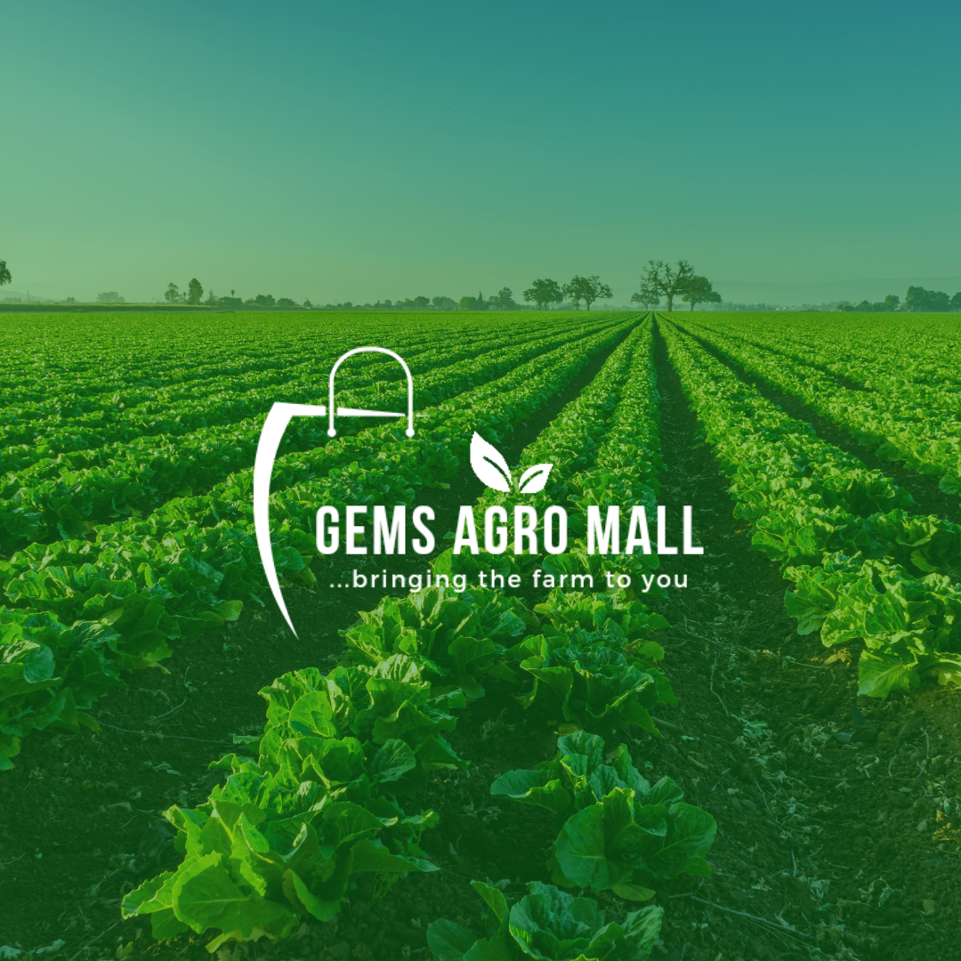 Gems Agro Mall Bag
